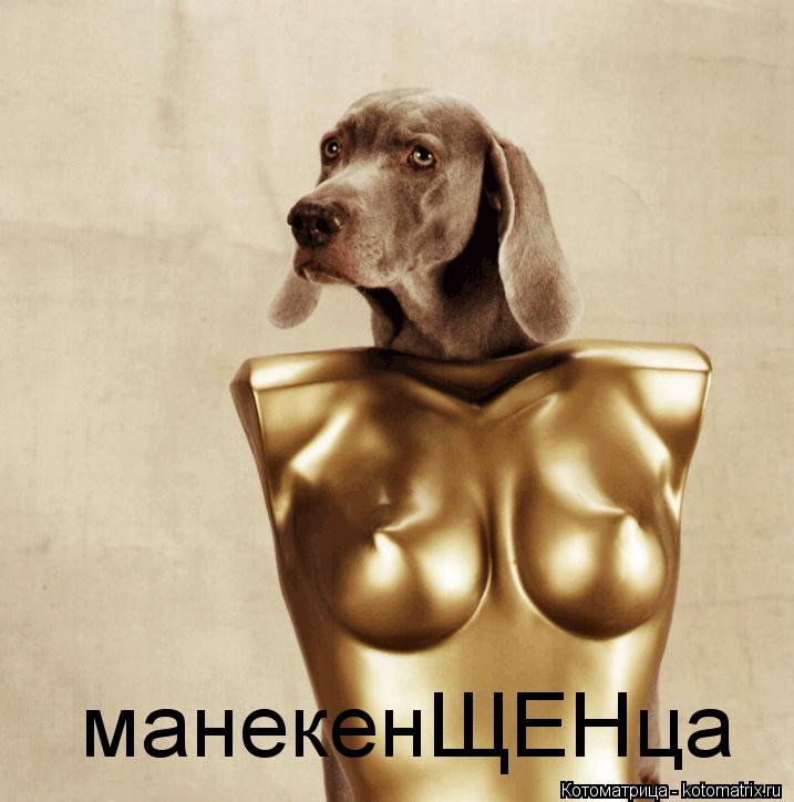 Котоматрица: манекенЩЕНца