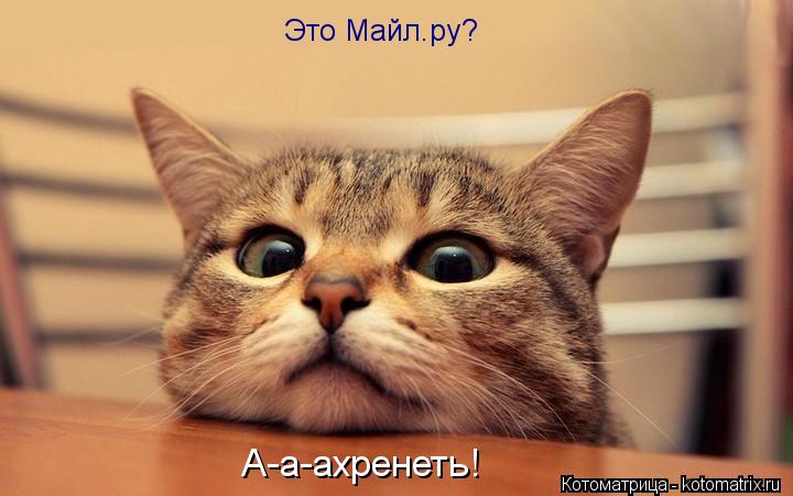 Это Майл.ру? А-а-ахренеть!... Котоматрица: Это Майл.ру? А-а-ахренеть!
