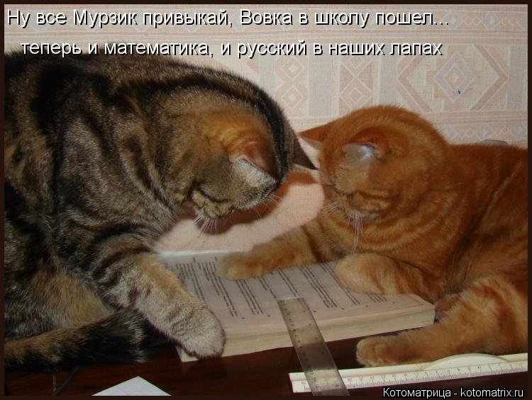 Ну все Мурзик привыкай, Вовка в школу пошел... теперь и математика, и русский в наших лапах... Котоматрица: Ну все Мурзик привыкай, Вовка в школу пошел... теперь и математика, и русский в наших лапах