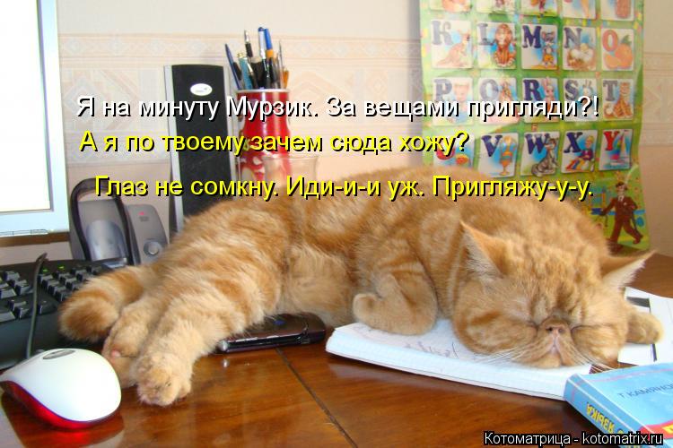 Котоматрица: Я на минуту Мурзик. За вещами пригляди?! А я по твоему зачем сюда хожу?  Глаз не сомкну. Иди-и-и уж. Пригляжу-у-у.