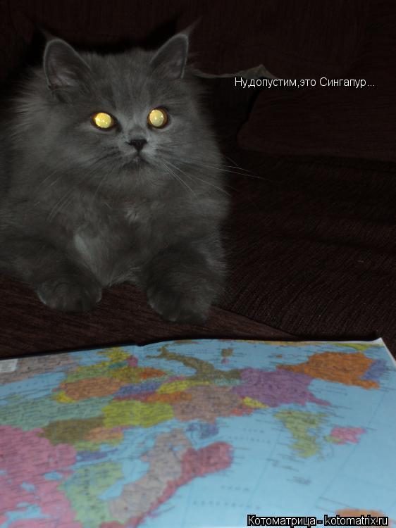 Ну,допустим,это Сингапур...... Котоматрица: Ну,допустим,это Сингапур...