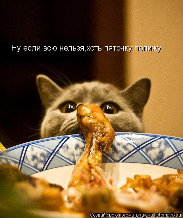 Ну если всю нельзя,хоть пяточку полижу... Котоматрица: Ну если всю нельзя,хоть пяточку полижу