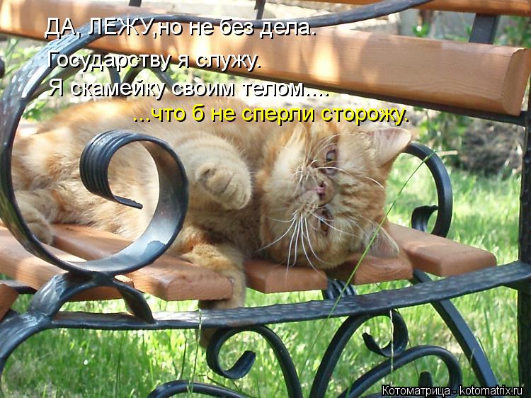 Котоматрица: ДА, ЛЕЖУ,но не без дела. Государству я служу. Я скамейку своим телом.... ...что б не сперли сторожу.