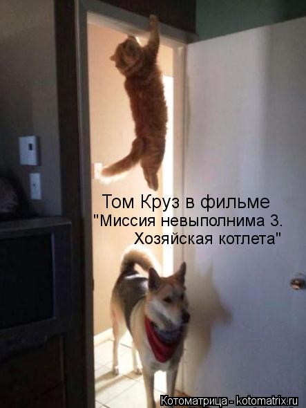 Том Круз в фильме "Миссия невыполнима 3. Хозяйская котлета"... Котоматрица: Том Круз в фильме "Миссия невыполнима 3. Хозяйская котлета"
