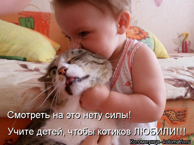 Смотреть на это нету силы! Учите детей, чтобы котиков ЛЮБИЛИ!!!... Котоматрица: Смотреть на это нету силы! Учите детей, чтобы котиков ЛЮБИЛИ!!!