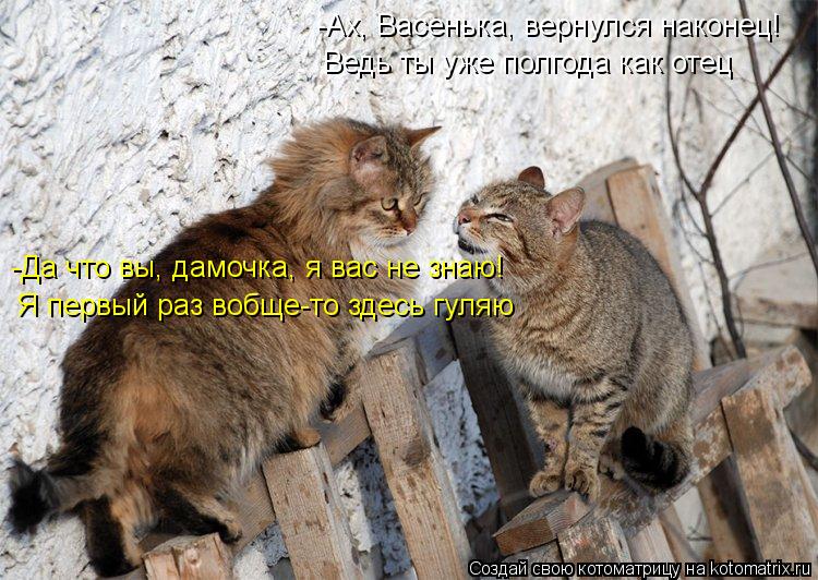 -Ах, Васенька, вернулся наконец! Ведь ты уже полгода как отец -Да что вы, дамочка, я вас не знаю! Я п... Котоматрица: -Ах, Васенька, вернулся наконец! Ведь ты уже полгода как отец -Да что вы, дамочка, я вас не знаю! Я первый раз вобще-то здесь гуляю