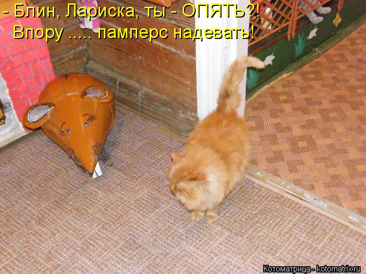 - Блин, Лариска, ты - ОПЯТЬ?! Впору ..... памперс надевать!... Котоматрица: - Блин, Лариска, ты - ОПЯТЬ?! Впору ..... памперс надевать!