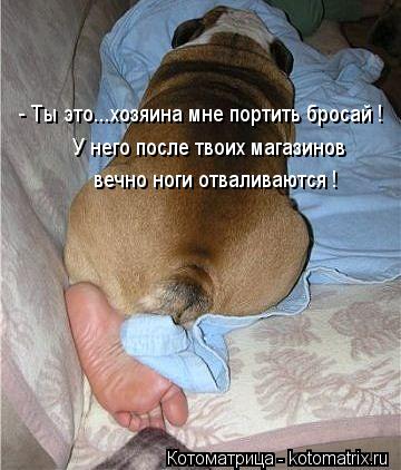 Котоматрица: - Ты это...хозяина мне портить бросай ! У него после твоих магазинов вечно ноги отваливаются !