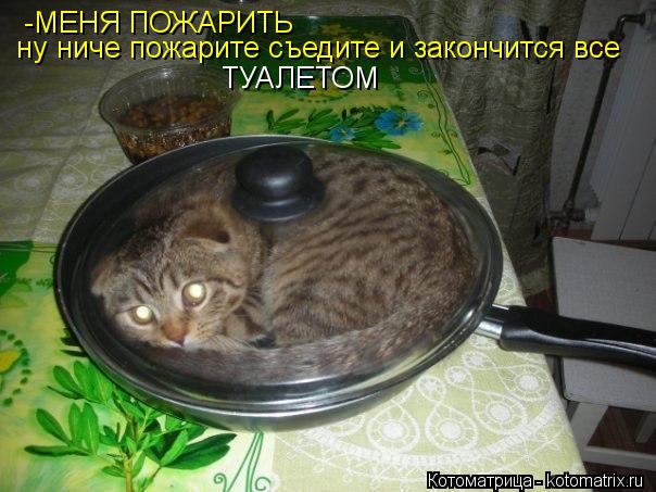 -МЕНЯ ПОЖАРИТЬ ну ниче пожарите съедите и закончится все ТУАЛЕТОМ... Котоматрица: -МЕНЯ ПОЖАРИТЬ ну ниче пожарите съедите и закончится все ТУАЛЕТОМ