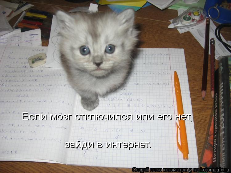Котоматрица: зайди в интернет. Если мозг отключился или его нет,