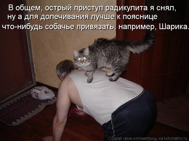 В общем, острый приступ радикулита я снял, ну а для долечивания лучше к пояснице что-нибудь собачье ... Котоматрица: В общем, острый приступ радикулита я снял, ну а для долечивания лучше к пояснице что-нибудь собачье привязать, например, Шарика.