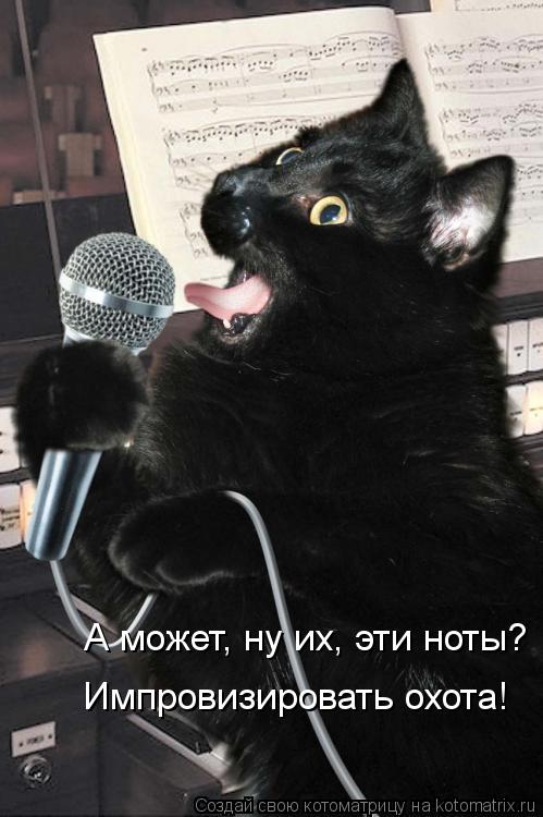 Котоматрица: Импровизировать охота! А может, ну их, эти ноты?