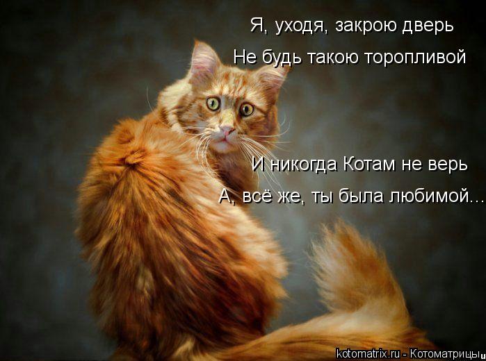 И никогда Котам не верь А, всё же, ты была любимой... Я, уходя, закрою дверь Не будь такою торопливой... Котоматрица: И никогда Котам не верь А, всё же, ты была любимой... Я, уходя, закрою дверь Не будь такою торопливой
