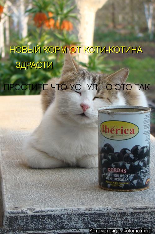 ЗДРАСТИ НОВЫЙ КОРМ ОТ КОТИ-КОТИНА ПРОСТИТЕ ЧТО УСНУЛ НО ЭТО ТАК... Котоматрица: ЗДРАСТИ НОВЫЙ КОРМ ОТ КОТИ-КОТИНА ПРОСТИТЕ ЧТО УСНУЛ НО ЭТО ТАК