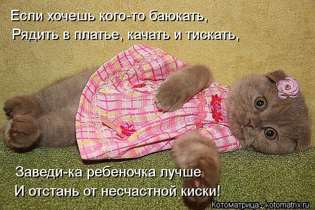 Если хочешь кого-то баюкать, Рядить в платье, качать и тискать, Заведи-ка ребеночка лучше И отстань ... Котоматрица: Если хочешь кого-то баюкать, Рядить в платье, качать и тискать, Заведи-ка ребеночка лучше И отстань от несчастной киски!