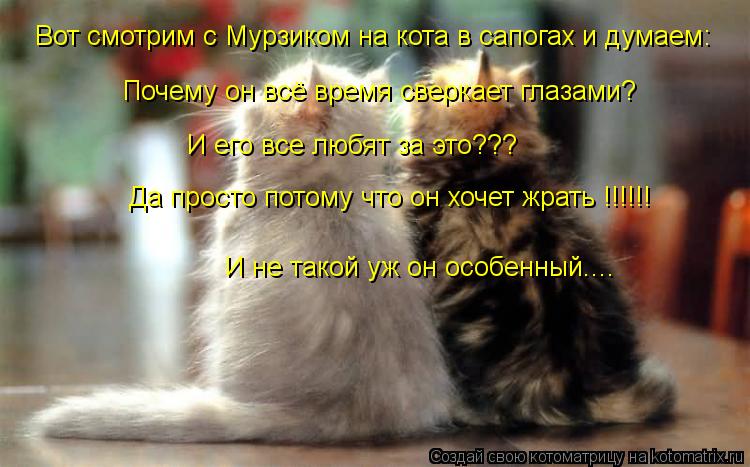 Вот смотрим с Мурзиком на кота в сапогах и думаем: Почему он всё время сверкает глазами? И его все лю... Котоматрица: Вот смотрим с Мурзиком на кота в сапогах и думаем: Почему он всё время сверкает глазами? И его все любят за это??? Да просто потому что он хоче