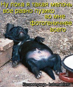 Ну пока я такая мелочь все равно пузико во мне фотогеничнее всего... Котоматрица: Ну пока я такая мелочь все равно пузико во мне фотогеничнее всего