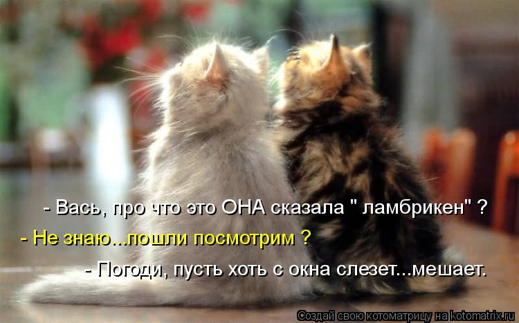 - Не знаю...пошли посмотрим ? - Погоди, пусть хоть с окна слезет...мешает. - Вась, про что это ОНА ск... Котоматрица: - Не знаю...пошли посмотрим ? - Погоди, пусть хоть с окна слезет...мешает. - Вась, про что это ОНА сказала " ламбрикен" ?