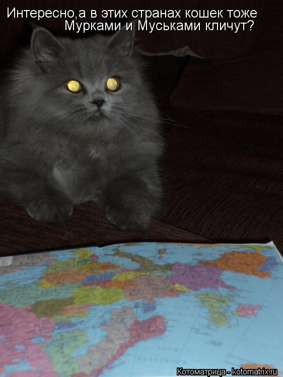 Интересно,а в этих странах кошек тоже Мурками и Муськами кличут?... Котоматрица: Интересно,а в этих странах кошек тоже Мурками и Муськами кличут?
