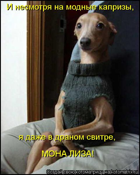 И несмотря на модные капризы, я даже в драном свитре, МОНА ЛИЗА!... Котоматрица: И несмотря на модные капризы, я даже в драном свитре, МОНА ЛИЗА!