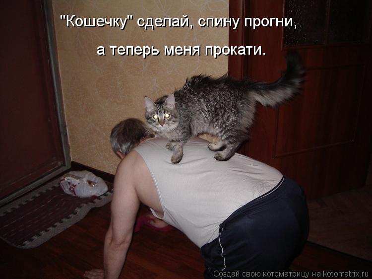 "Кошечку" сделай, спину прогни, а теперь меня прокати.... Котоматрица: "Кошечку" сделай, спину прогни, а теперь меня прокати.