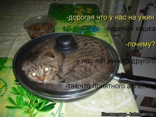 -дорогая что у нас на ужин -жареная кошка -почему? -у нас нет ничего другого -так что приятного аппет... Котоматрица: -дорогая что у нас на ужин -жареная кошка -почему? -у нас нет ничего другого -так что приятного аппетита