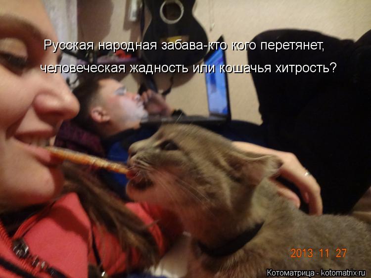 Котоматрица: Русская народная забава-кто кого перетянет, человеческая жадность или кошачья хитрость?