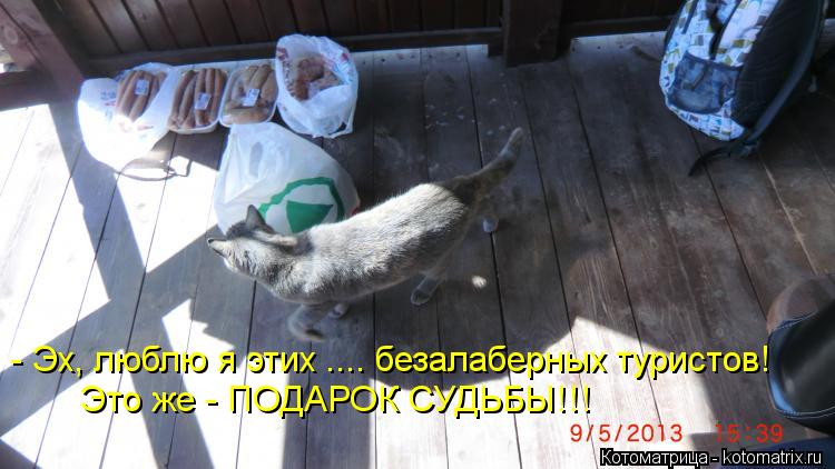Котоматрица: - Эх, люблю я этих .... безалаберных туристов! Это же - ПОДАРОК СУДЬБЫ!!!