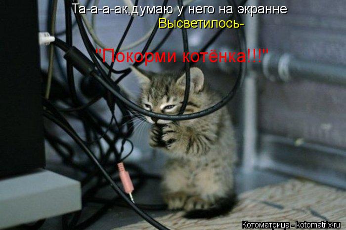 Та-а-а-ак,думаю у него на экранне Высветилось- "Покорми котёнка!!!"... Котоматрица: Та-а-а-ак,думаю у него на экранне Высветилось- "Покорми котёнка!!!"