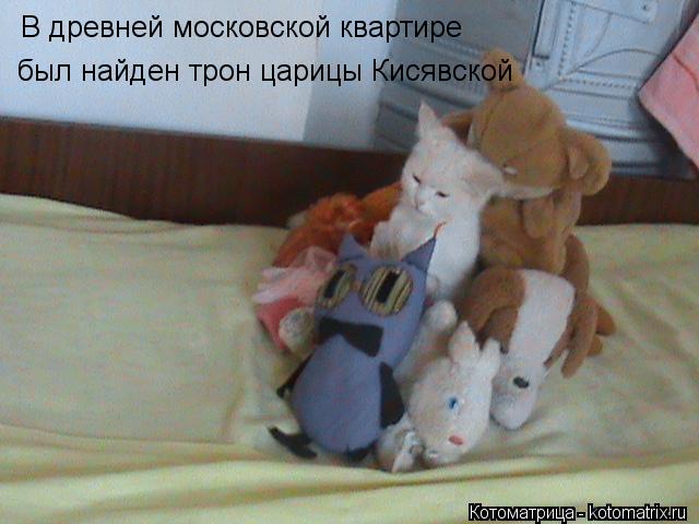 Котоматрица: В древней московской квартире  был найден трон царицы Кисявской