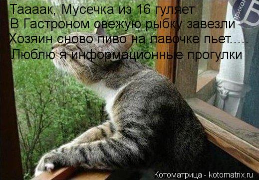 Таааак, Мусечка из 16 гуляет В Гастроном свежую рыбку завезли Хозяин сново пиво на лавочке пьет..... ... Котоматрица: Таааак, Мусечка из 16 гуляет В Гастроном свежую рыбку завезли Хозяин сново пиво на лавочке пьет..... Люблю я информационные прогулки