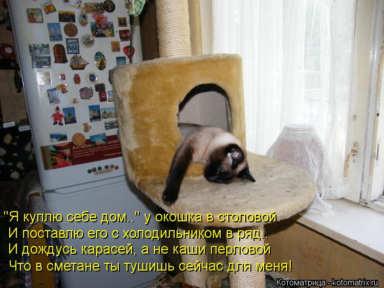 "Я куплю себе дом.." у окошка в столовой И поставлю его с холодильником в ряд.. И дождусь карасей, а ... Котоматрица: "Я куплю себе дом.." у окошка в столовой И поставлю его с холодильником в ряд.. И дождусь карасей, а не каши перловой Что в сметане ты тушишь се