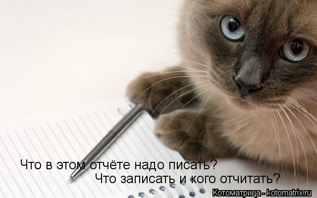 Что в этом отчёте надо писать? Что записать и кого отчитать?... Котоматрица: Что в этом отчёте надо писать? Что записать и кого отчитать?