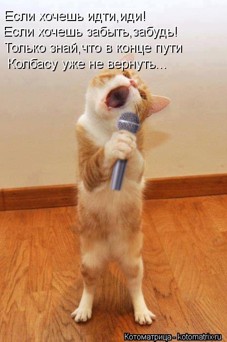 Котоматрица: Если хочешь идти,иди! Если хочешь забыть,забудь! Только знай,что в конце пути Колбасу уже не вернуть...