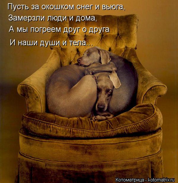 Пусть за окошком снег и вьюга, Замерзли люди и дома, А мы погреем друг о друга И наши души и тела...... Котоматрица: Пусть за окошком снег и вьюга, Замерзли люди и дома, А мы погреем друг о друга И наши души и тела...