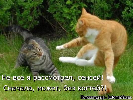 Не все я рассмотрел, сенсей! Сначала, может, без когтей?!... Котоматрица: Не все я рассмотрел, сенсей! Сначала, может, без когтей?!