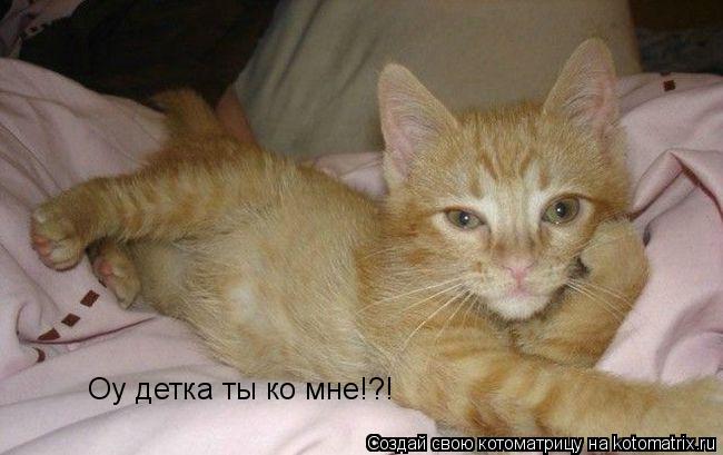 Оу детка ты ко мне!?!... Котоматрица: Оу детка ты ко мне!?!