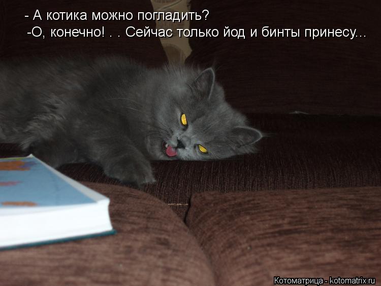 - А котика можно погладить? -О, конечно! . . Сейчас только йод и бинты принесу...... Котоматрица: - А котика можно погладить? -О, конечно! . . Сейчас только йод и бинты принесу...