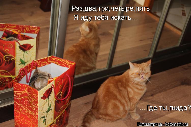 Раз,два,три,четыре,пять Я иду тебя искать... ...Где ты,гнида?... Котоматрица: Раз,два,три,четыре,пять Я иду тебя искать... ...Где ты,гнида?