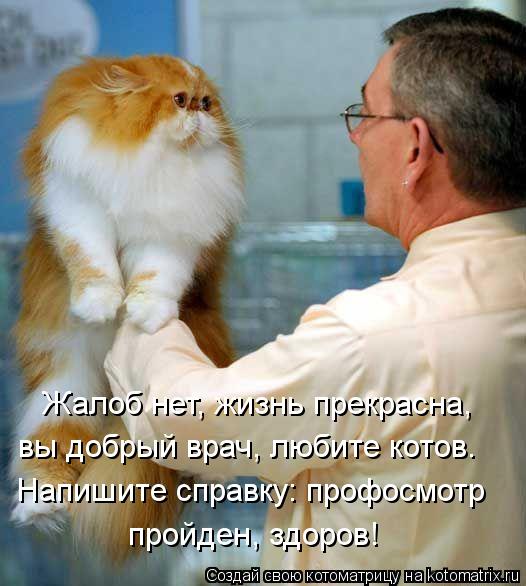 Жалоб нет, жизнь прекрасна, вы добрый врач, любите котов. Напишите справку: профосмотр пройден, здо... Котоматрица: Жалоб нет, жизнь прекрасна, вы добрый врач, любите котов. Напишите справку: профосмотр пройден, здоров!