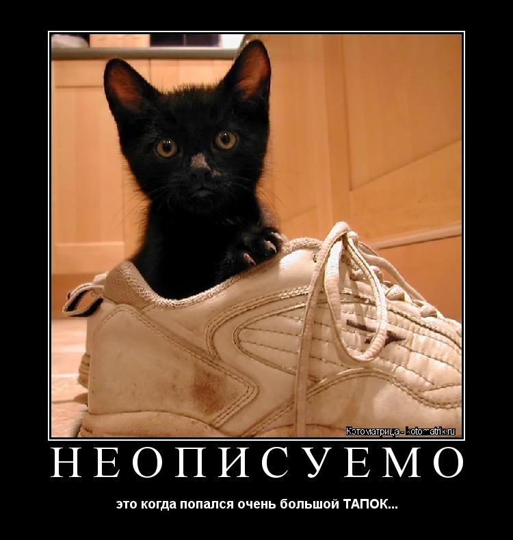 НЕОПИСУЕМО это когда попался очень большой ТАПОК...... Котоматрица: НЕОПИСУЕМО это когда попался очень большой ТАПОК...
