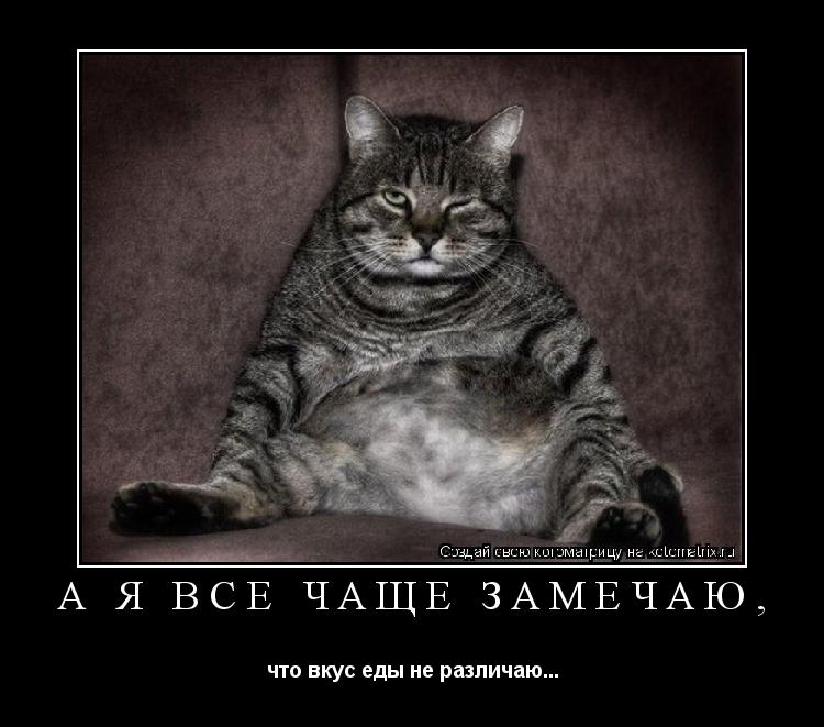 А Я ВСЕ ЧАЩЕ ЗАМЕЧАЮ, что вкус еды не различаю...... Котоматрица: А Я ВСЕ ЧАЩЕ ЗАМЕЧАЮ, что вкус еды не различаю...