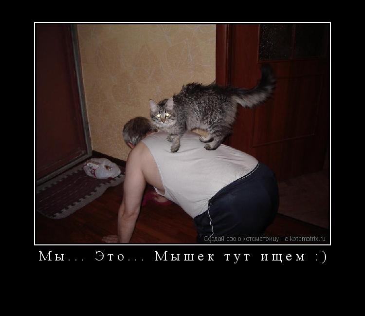 Мы... Это... Мышек тут ищем :) ... Котоматрица: Мы... Это... Мышек тут ищем :)