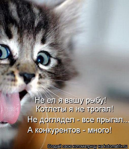Котоматрица: А конкурентов - много! Не ел я вашу рыбу! Котлеты я не трогал! Не доглядел - все прыгал...