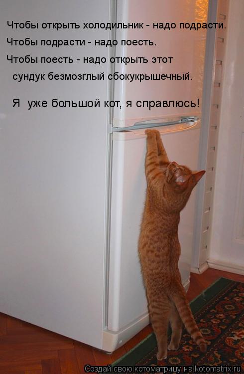Чтобы открыть холодильник - надо подрасти. Чтобы подрасти - надо поесть. Чтобы поесть - надо открыть ... Котоматрица: Чтобы открыть холодильник - надо подрасти. Чтобы подрасти - надо поесть. Чтобы поесть - надо открыть этот сундук безмозглый сбокукрышечный.