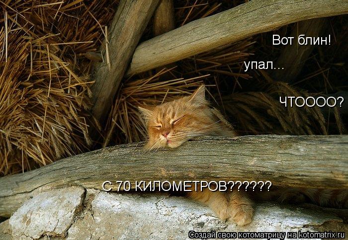 Вот блин! упал... ЧТОООО? С 70 КИЛОМЕТРОВ??????... Котоматрица: Вот блин! упал... ЧТОООО? С 70 КИЛОМЕТРОВ??????
