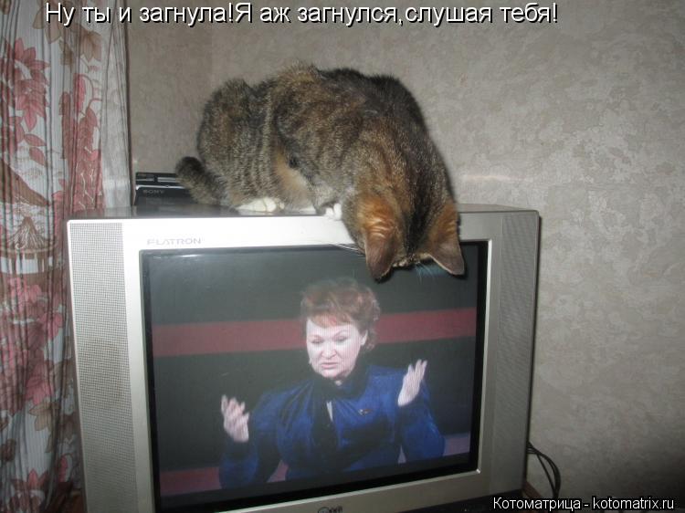 Ну ты и загнула!Я аж загнулся,слушая тебя!... Котоматрица: Ну ты и загнула!Я аж загнулся,слушая тебя!