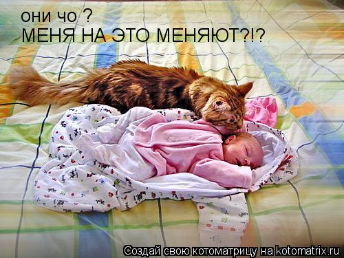 они чо ? МЕНЯ НА ЭТО МЕНЯЮТ?!?... Котоматрица: они чо ? МЕНЯ НА ЭТО МЕНЯЮТ?!?