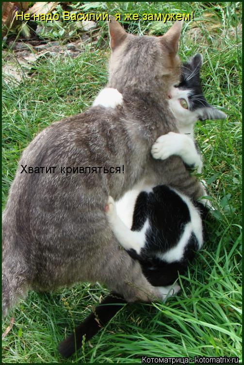 Не надо Василий, я же замужем! Хватит кривляться!... Котоматрица: Не надо Василий, я же замужем! Хватит кривляться!