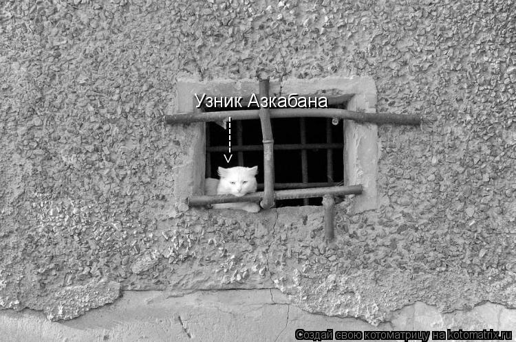 Узник Азкабана <------... Котоматрица: Узник Азкабана <------